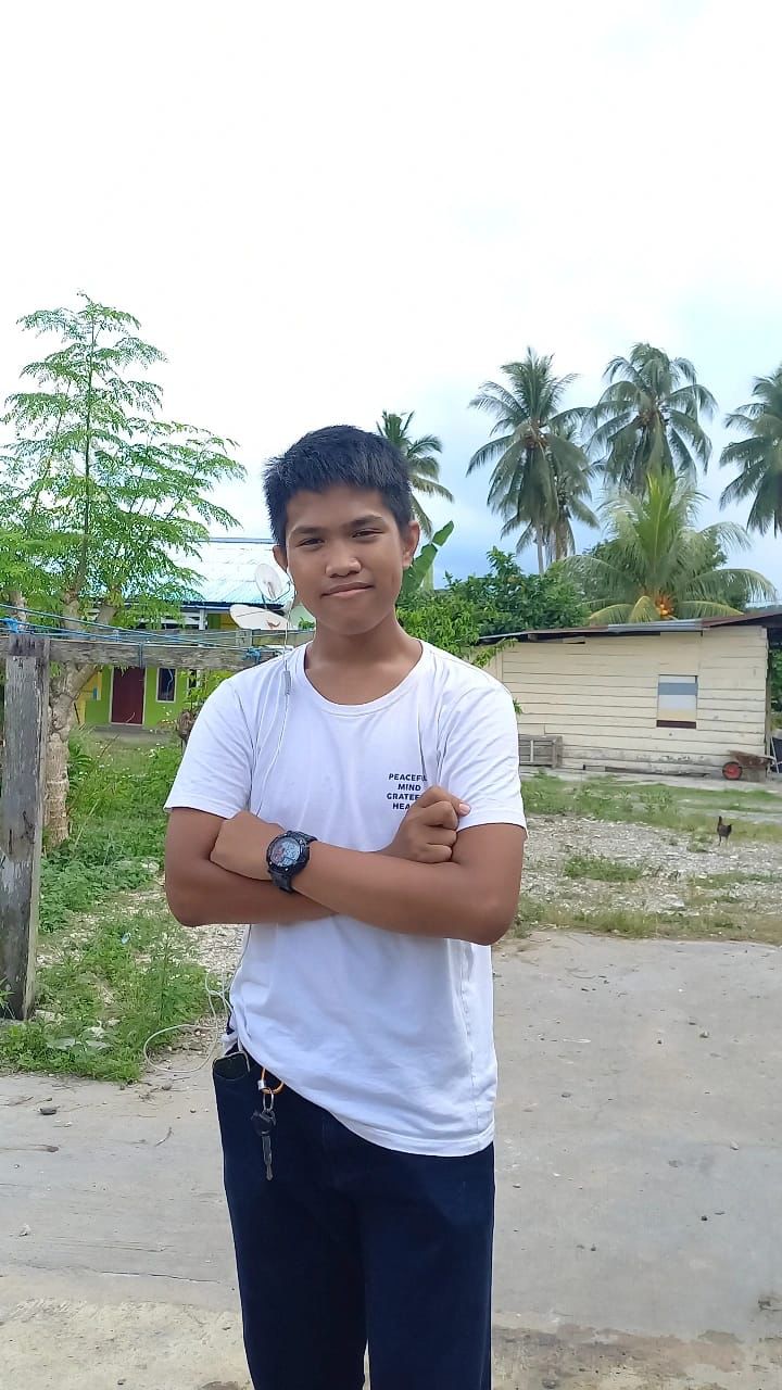 Nur Mahmud Ismail - 202452004